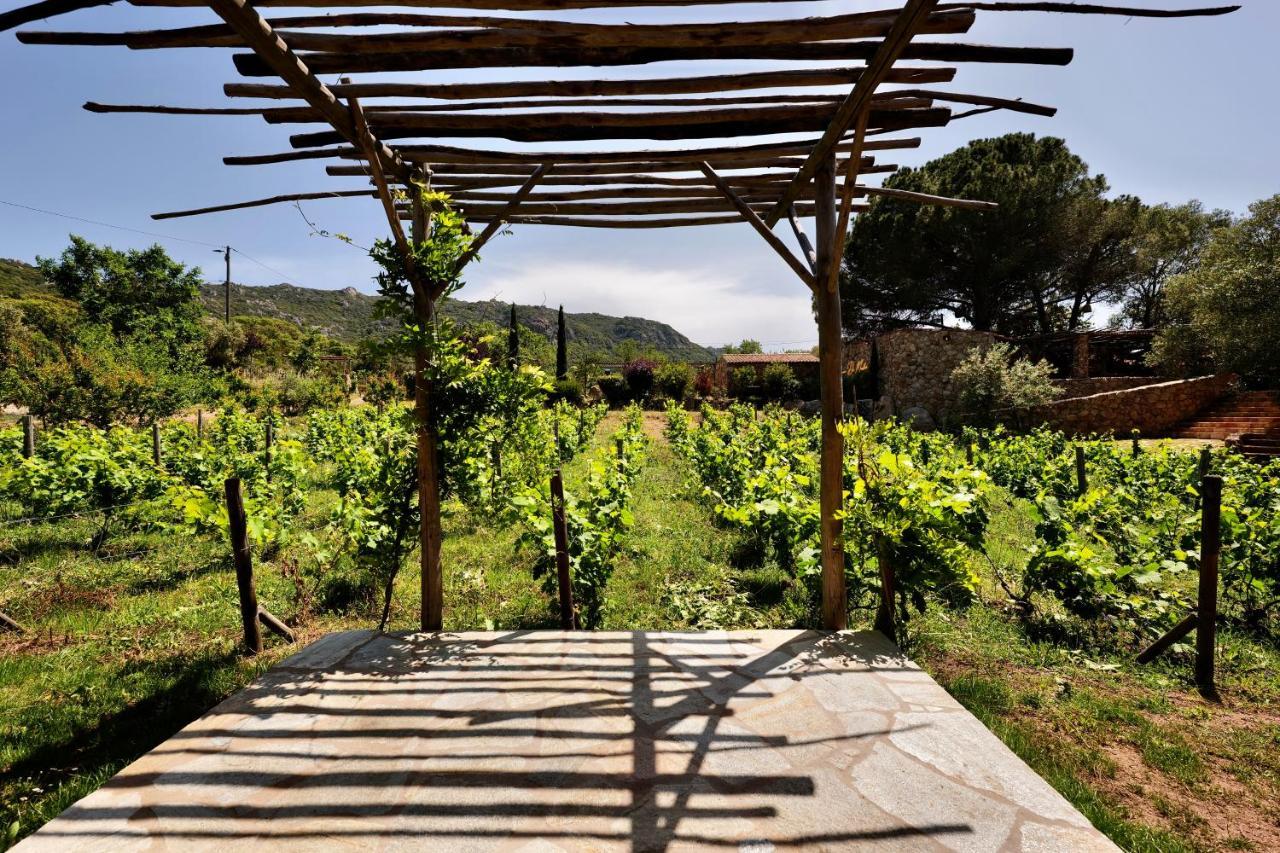 Domaine Pozzo Di Mastri Hotel & Spa 피가리 외부 사진